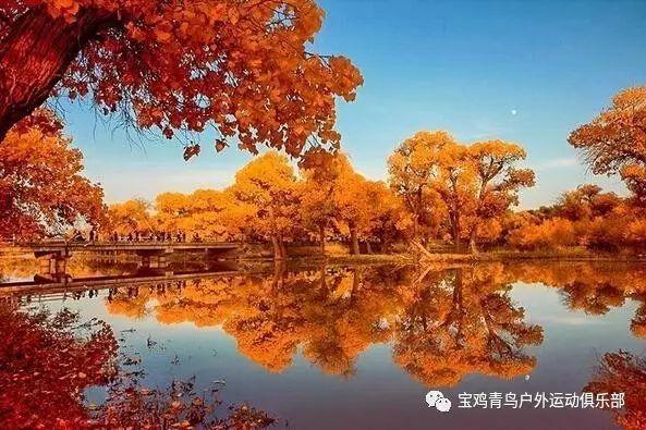 88影视