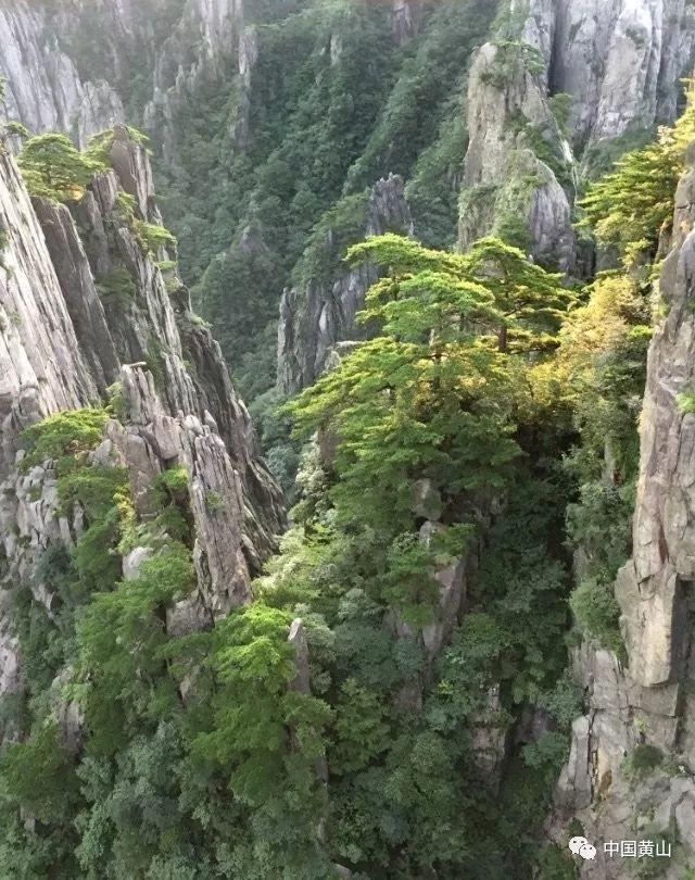 脑洞小老弟无实名认证